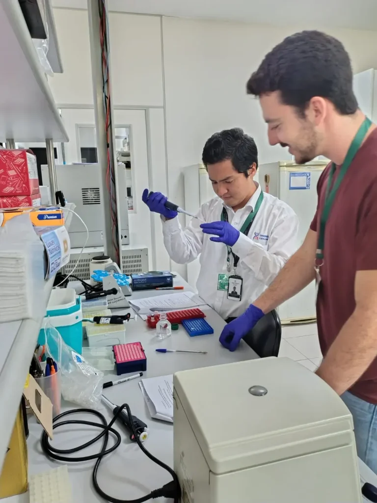 Preparación de muestras durante la capacitación en Brasil